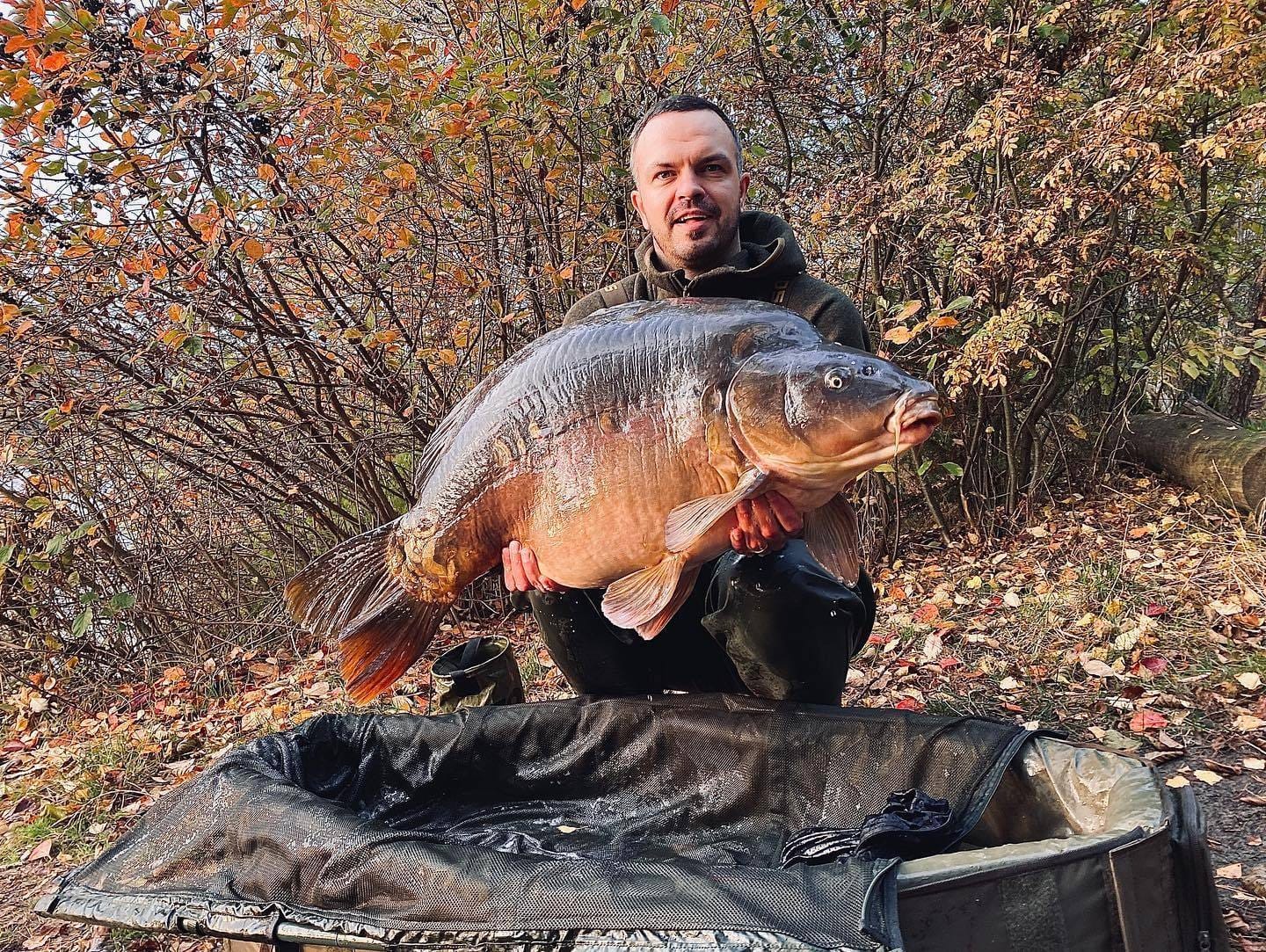 🦈 Kaip rykliai susiję su karpių žvejyba? Kas per biesas ta KAAK ir kodėl pomidoras raudonas?
