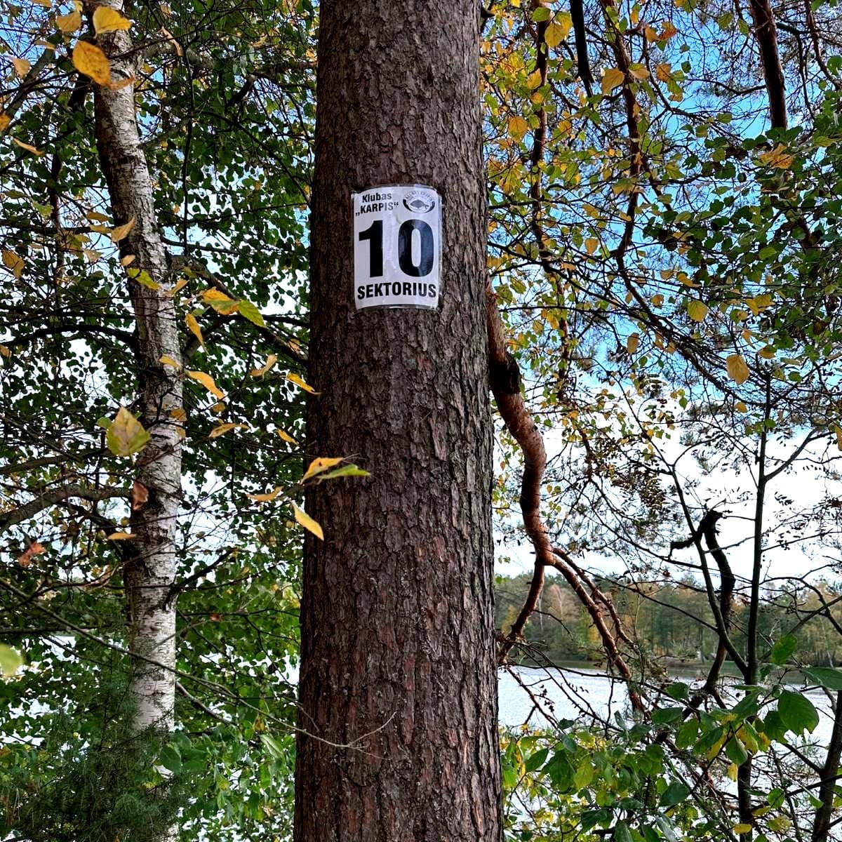 📍Ilgio Ežeras. 10 sektorius. Apžvalga